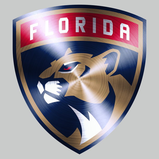 Florida Panthers Stainless steel logo iron on paper